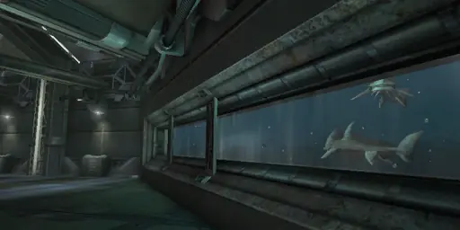 DM-Oceanic1on1