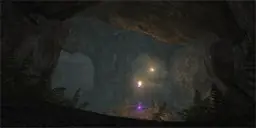 DM-Refuge